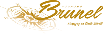 Brunel logo 1